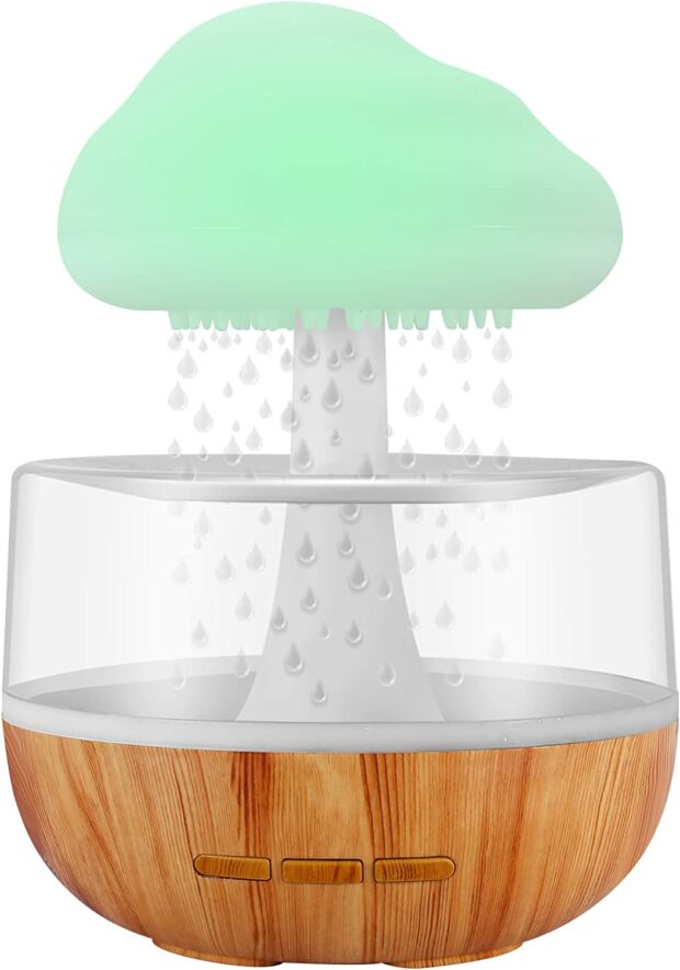Rainfall Humidifier