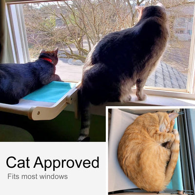 Cute Cat Window Hammocks